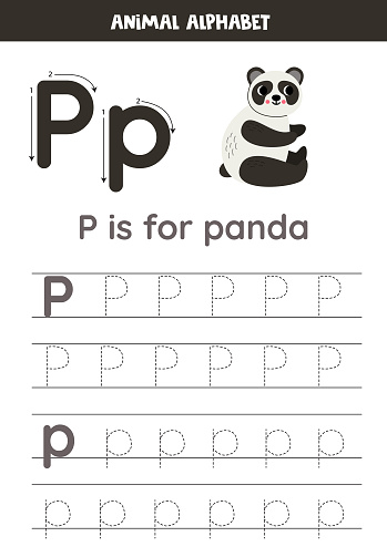 Animal alphabet writing for preschool kids. Letter P is for panda.