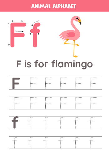 Animal alphabet writing for preschool kids. Letter F is for flamingo.