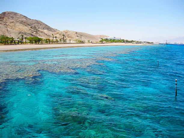 istock Eilat, Red Sea, Israel 179994811