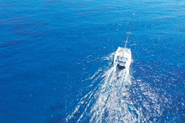 Catamaran Sailing Serenity Experience the serene beauty of catamaran sailing as these twin-hulled marvels gracefully traverse tranquil waters. This aerial view encapsulates the essence of peaceful exploration on the open sea catamaran sailing stock pictures, royalty-free photos & images