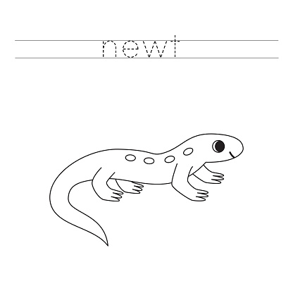 Trace letters and color black and white cartoon newt.