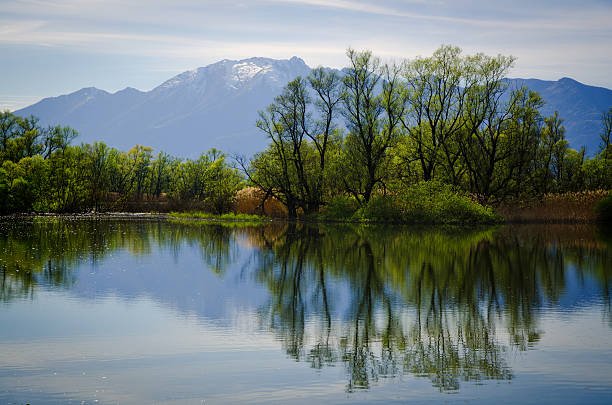 istock Alpine lake with mountain 179995022