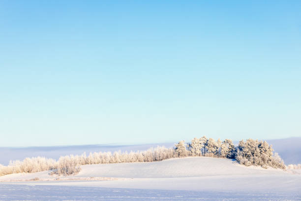 istock Snowy fields with trees on a hill on a cold winter day 1799951604