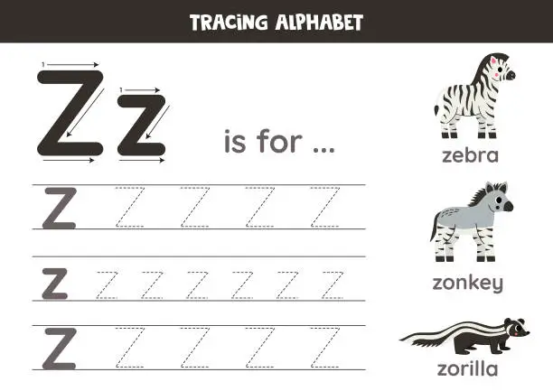 Vector illustration of Tracing all letters of English alphabet. Preschool activity for kids. Writing uppercase and lowercase letter z. Printable worksheet. Cute illustration of zonkey, zebra, zorilla.