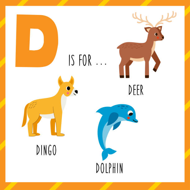 100+ Animal Alphabet Letter D For Dolphin Stock Illustrations, Royalty ...