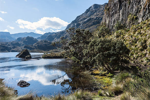 istock Cajas National Park, Andean Highlands, Ecuador 179996809