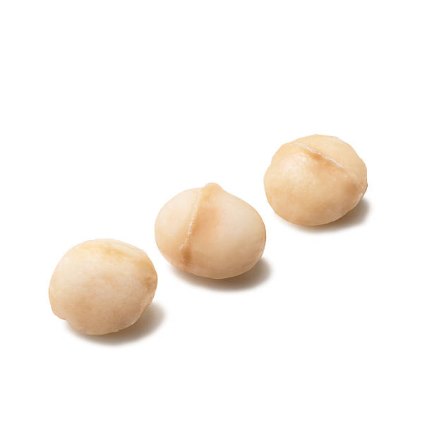 Macadamia nuts stock photo