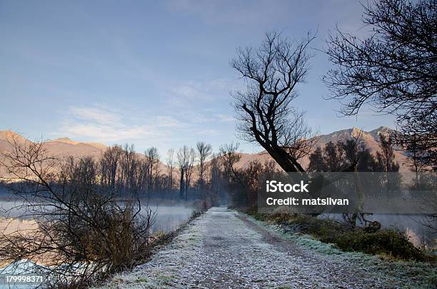 Strada Invernale - Fotografie stock e altre immagini di Acqua - Acqua, Albero, Alpi