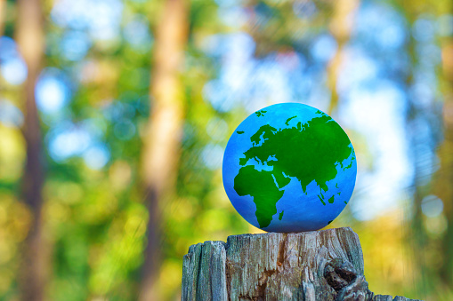 Globe perched on a tree stump amidst the forest. Global environmental perspective related concept.