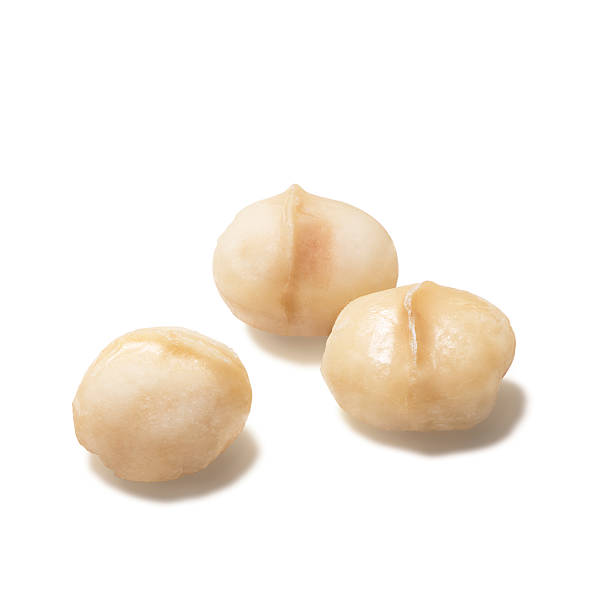 Macadamia nuts stock photo