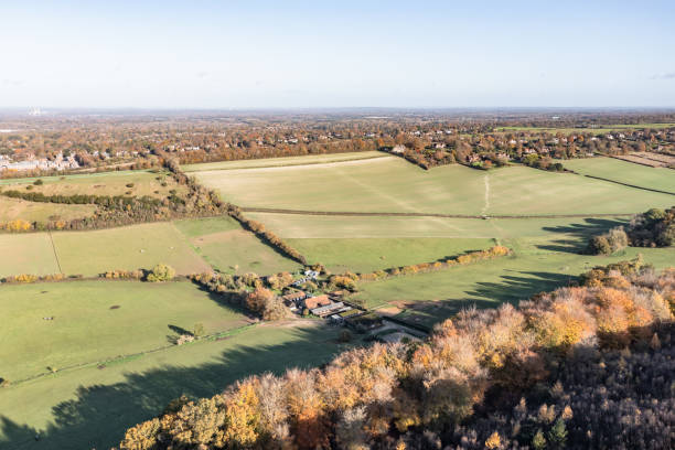 istock Chantry Wood Guildford Surrey England 1800021932
