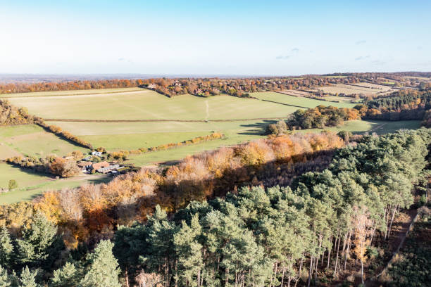 istock Chantry Wood Guildford Surrey England 1800021935