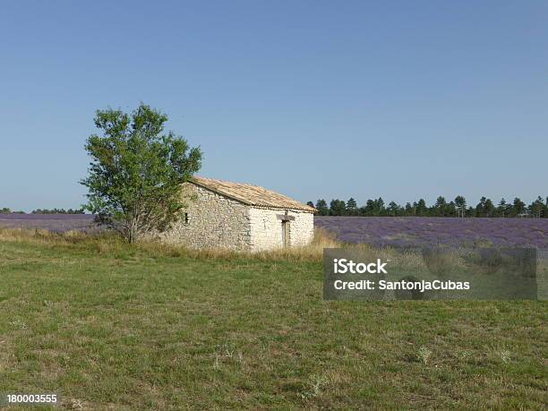 Field Von Lavendel Mit Kleinen Hut Stockfoto und mehr Bilder von Arbeiten - Arbeiten, Blume, Fotografie