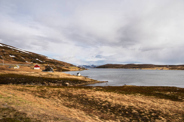 istock northern Norway landscape 1800044657