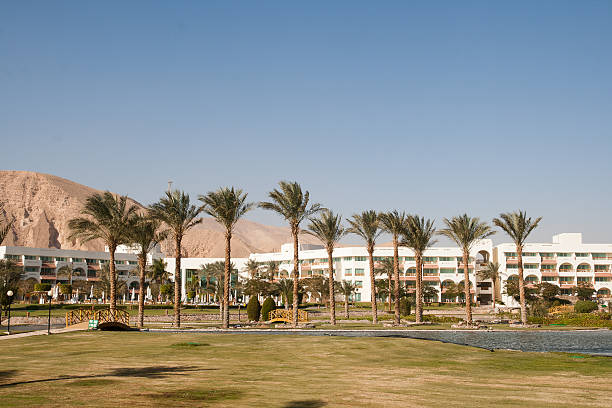 istock Man-made oasis at the hotel. Taba, Egypt. 180005417