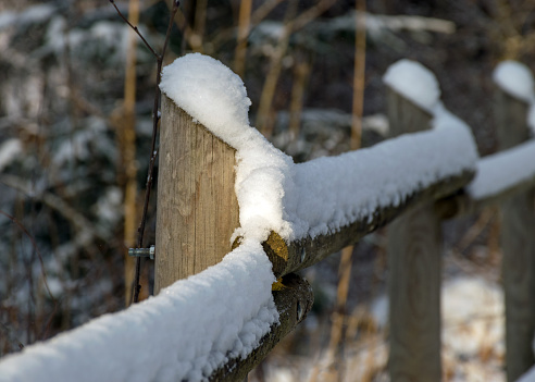 close-up of a snow-covered fence, winter