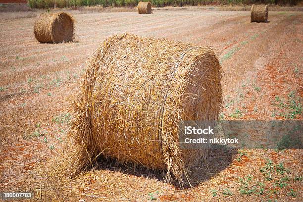 Сено Bales — стоковые фотографии и другие картинки Горизонтальный - Горизонтальный, Зерновые, Золотой