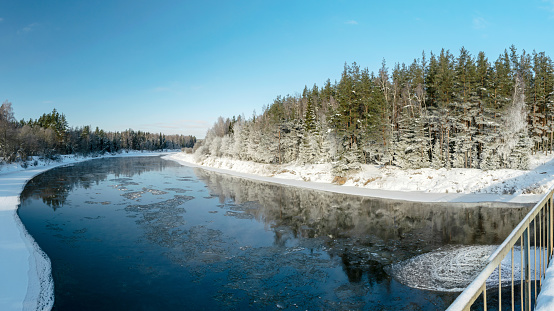 Panoramic winter landscape from the bridge, beautiful frosty trees by the river, slow river flow, river Gauja near Cesis, Latvian winter landscape