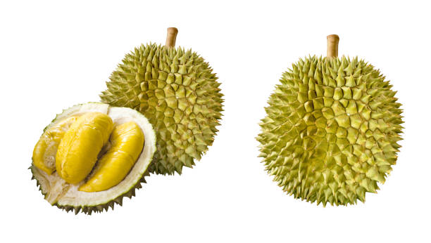 Durian fruits with cut in half isolated on white background set.