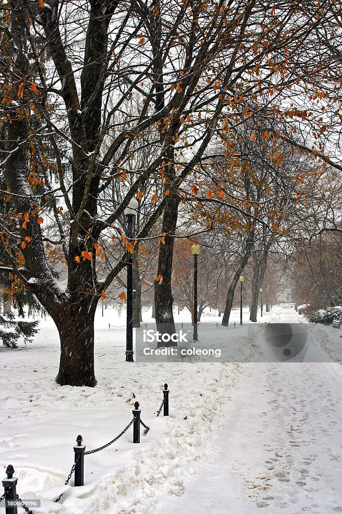 De Boston invierno - Foto de stock de Adoquinado libre de derechos