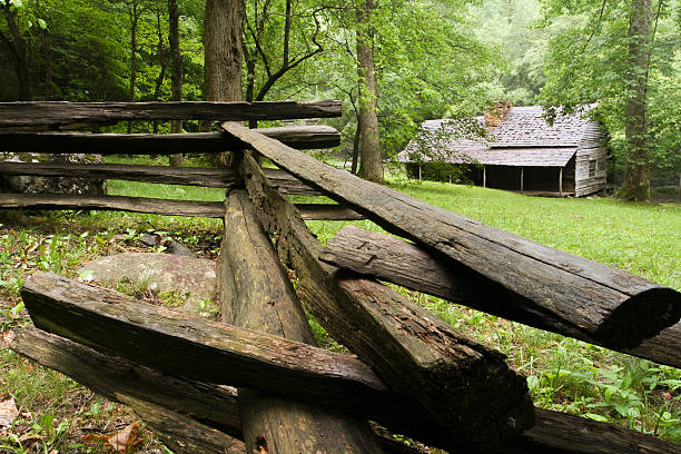 istock Cabin in the Woods 180009787