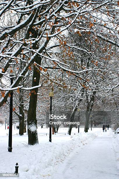 Photo libre de droit de Boston En Hiver banque d'images et plus d'images libres de droit de Architecture - Architecture, Blizzard, Boston - Massachusetts