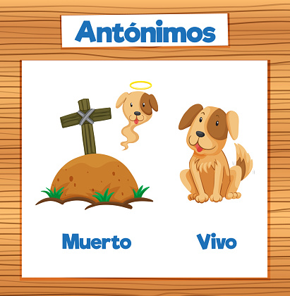 A vector cartoon illustration depicting the antonyms 'Muerto' and 'Vivo' in Spanish Dead and Alive