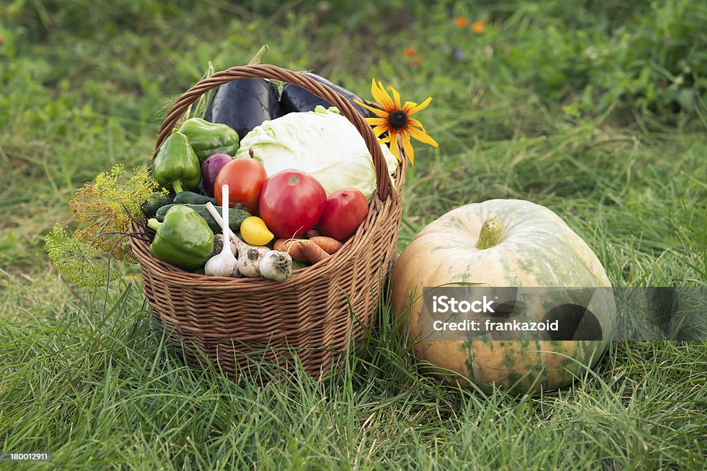 Healthy Vegetables in the Basket. Healthy Fresh Organic Vegetables in the Basket. Harvest. Crop - Plant Stock Photo