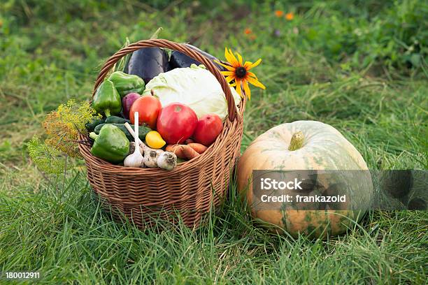 Healthy Vegetables In The Basket Stock Photo - Download Image Now - Crop - Plant, Harvesting, Agriculture
