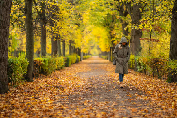 istock single woman walking outdoors in park on cold day in autumn 1800160469