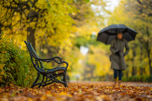 fall season, cold rainy day in public park, wet empty bench, one woman wearing warm coat and umbrella walking alone in alley, autumn leaves on the ground