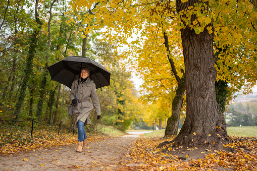 one woman wearing warm coat and umbrella walking on small path outdoors in park on rainy day in autumn, trees in autumn colors