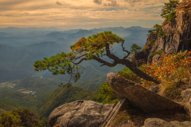 istock Pine trees, mountains, rocks, autumn colors 1800202941
