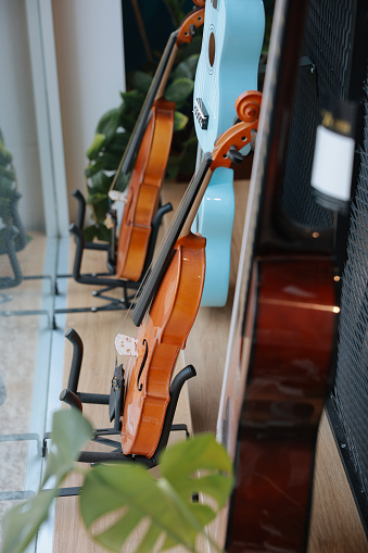 Violin trumpet guitars and keyboards exhibited at the music store