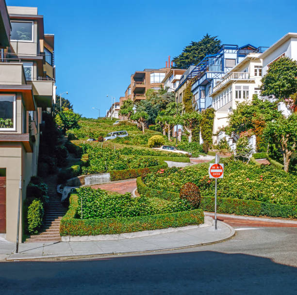 Lombard Street, San Francisco stock photo