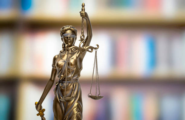 istock THEMIS in front of blurred bookshelf background 1800272117