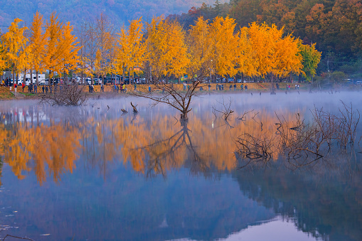 The leaves change season, the mountains, the river, the fog, the morning time, the reflection in the water is beautiful.