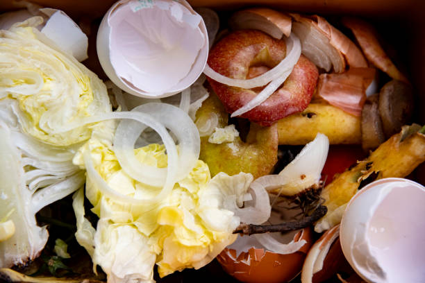 istock Correct disposal of green waste 1800289890