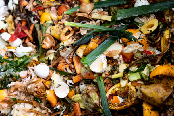 istock Correct disposal of green waste 1800293666