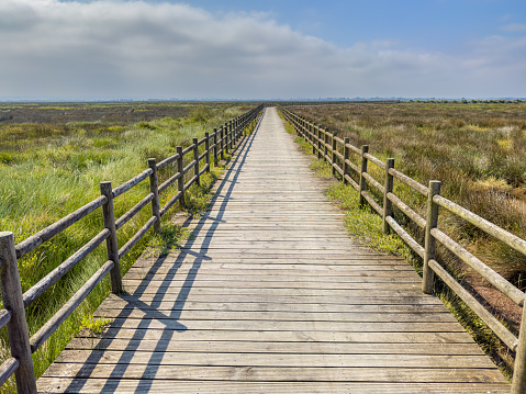 Eco path wooden walkway, ecological trail path at Aveiro lagoon, Murtosa, Portugal.