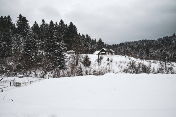 istock Road covered with snow in the Ukrainian Carpathians 1800360575