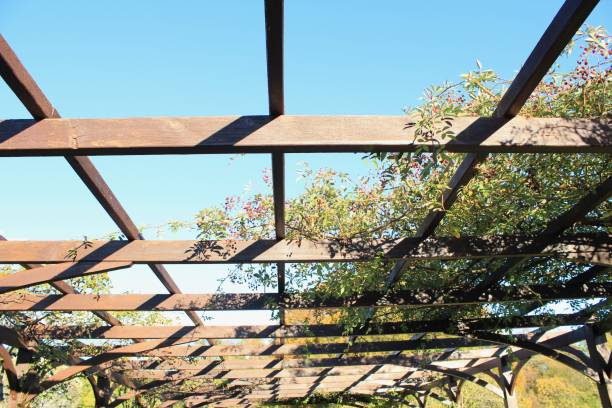 istock Wooden beam roof 1800365869