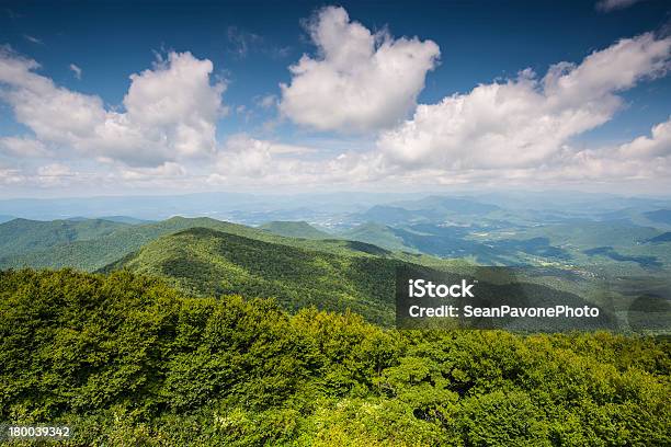 애팔래치아 산맥 조지아에 대한 스톡 사진 및 기타 이미지 - 조지아, 굽이치는 풍경, Brasstown Bald