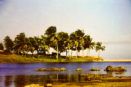 A remote stretch of coast by the Atlantic Ocean in Ghana c.1959