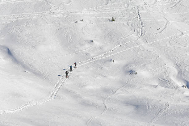 Ski tracks in the backcountry of Alaska