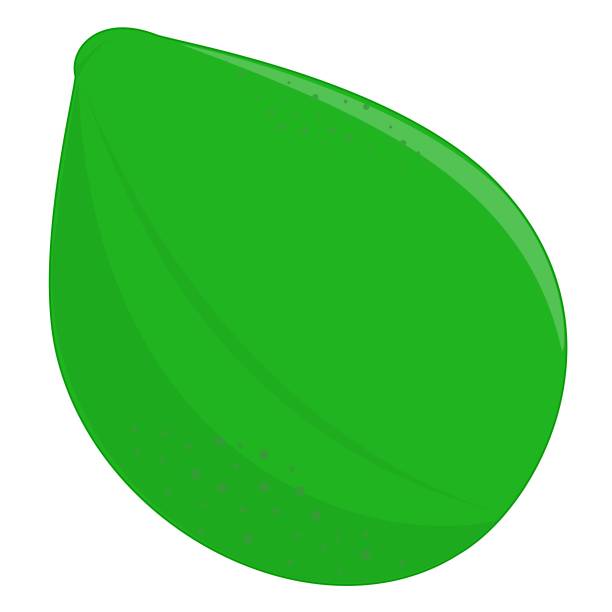 avocado, isoliert und eine halbe schneiden avocado. vektor-illustration. - guacamole avocado cutting white background stock-grafiken, -clipart, -cartoons und -symbole