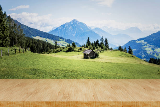 wooden hut and meadow in Lower Austria in spring