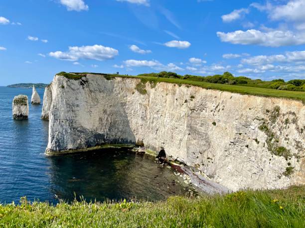 Sea stacks along the Jurassic World Heritage Coastline This 4 mile circular walk from Studland to Old Harry Rocks and into the chalk grasslands of Ballard Down is one of the loveliest on the Isle of Purbeck. May 16, 2023. studland heath stock pictures, royalty-free photos & images