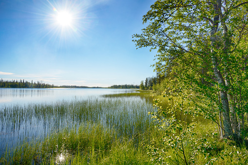Shore of Lake Vajunen at summer in Finland