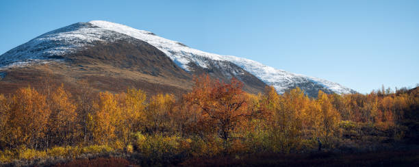 istock Autumn Colors in Scandinavian Mountains 1800444285